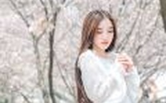 迈开腿让尝尝你的森林视频叫什么